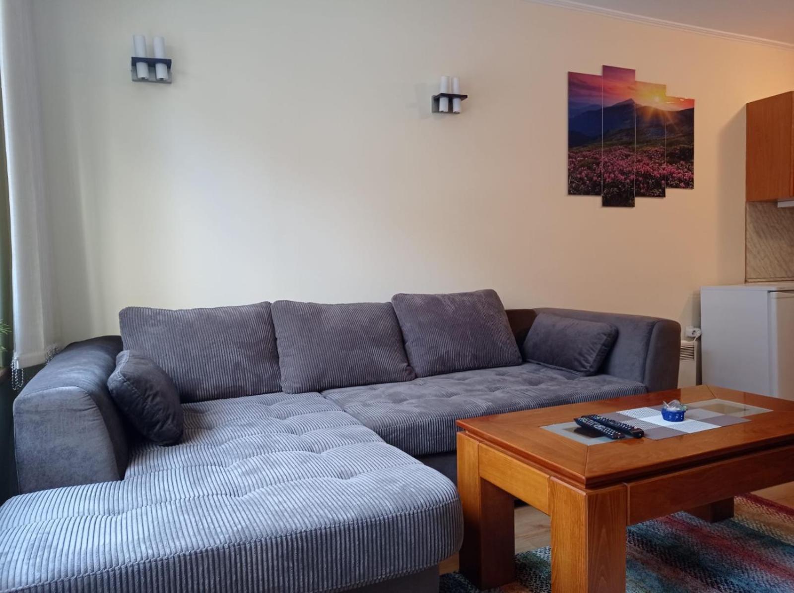 Pine Tree Apartment 3 - B3 بانسكو المظهر الخارجي الصورة