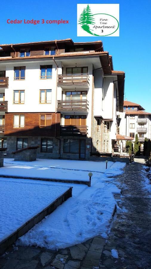 Pine Tree Apartment 3 - B3 بانسكو المظهر الخارجي الصورة
